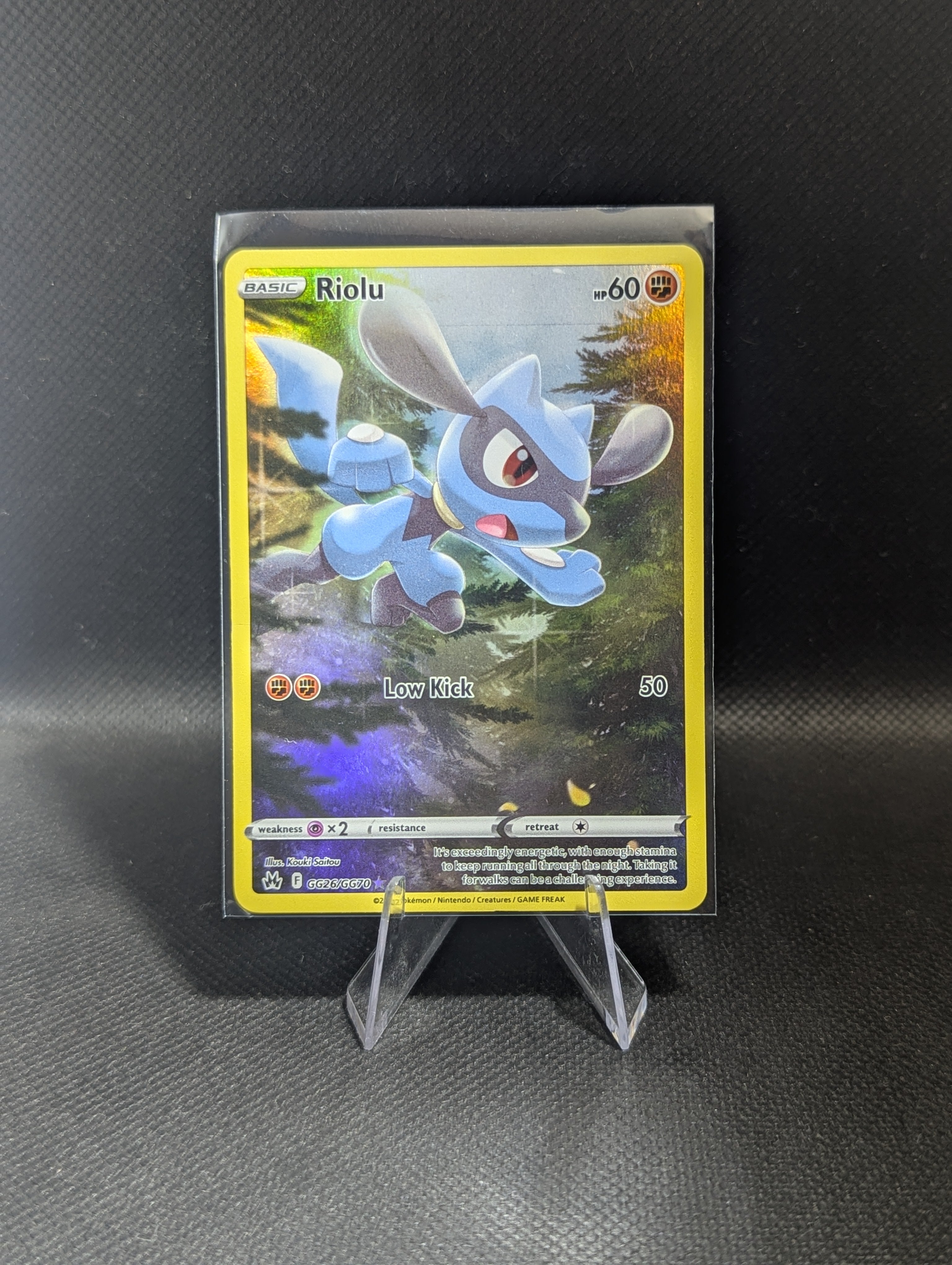 Riolu GG26 - English