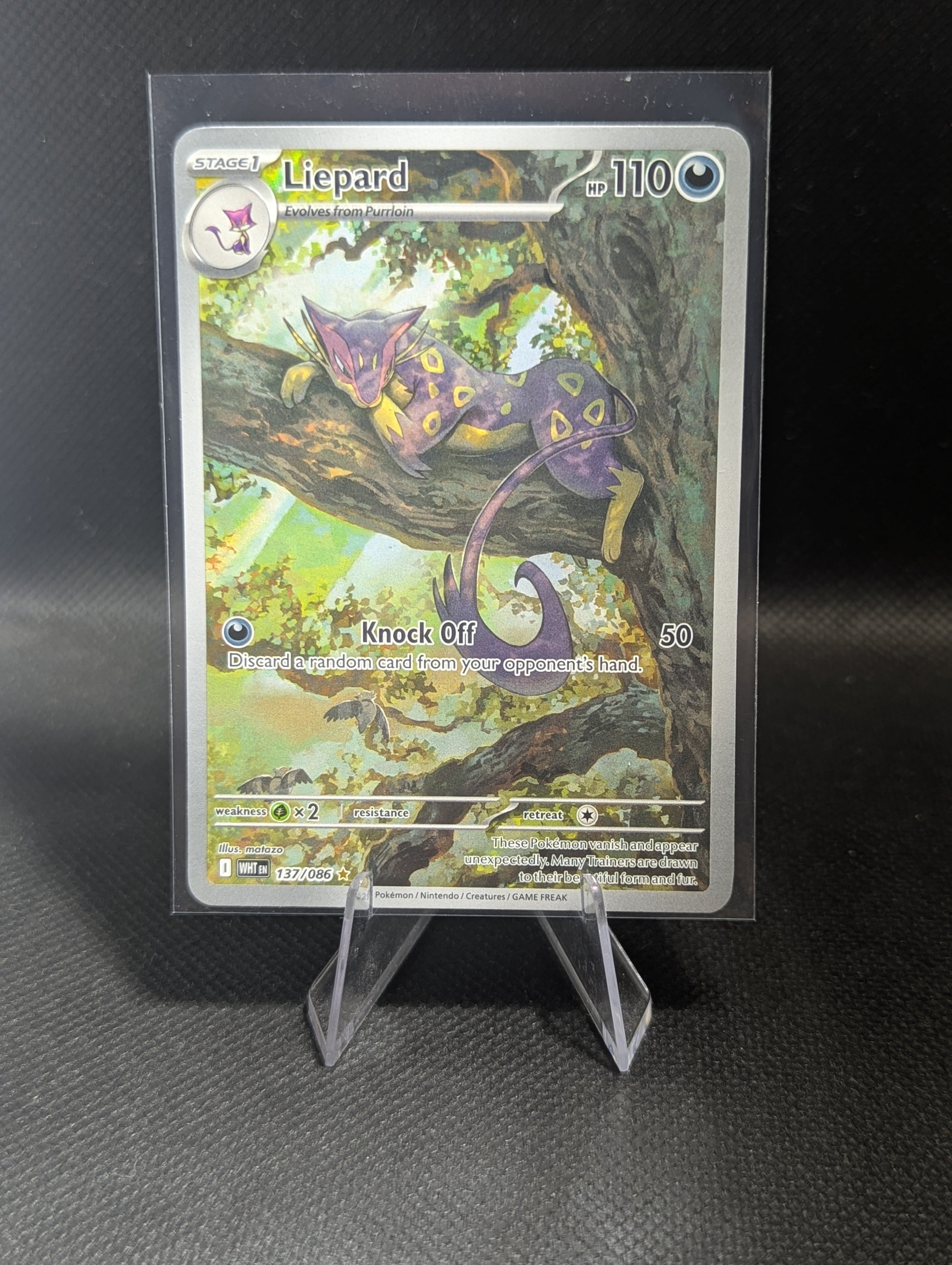 Liepard 137 - English