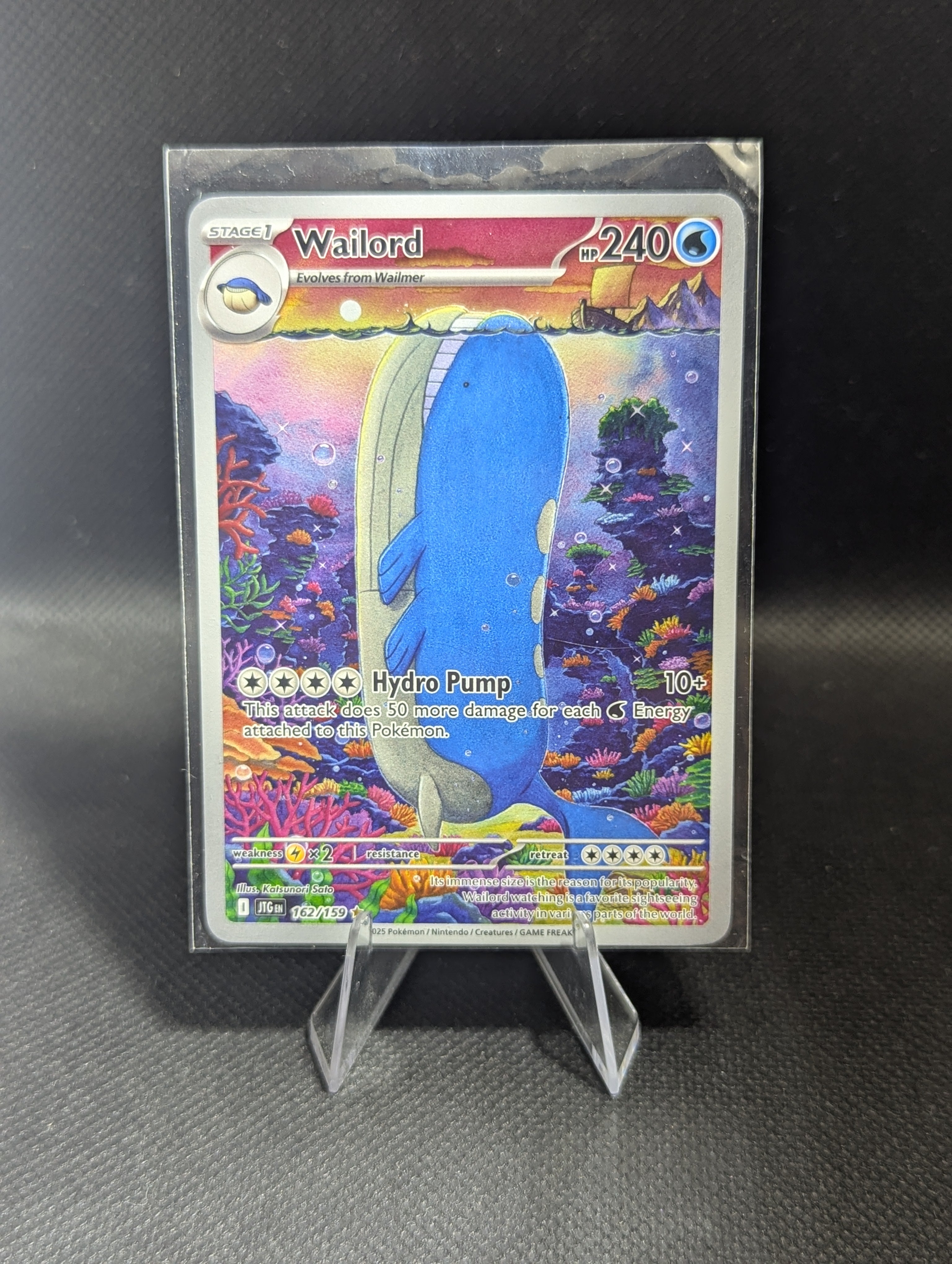 Wailord 162 - English