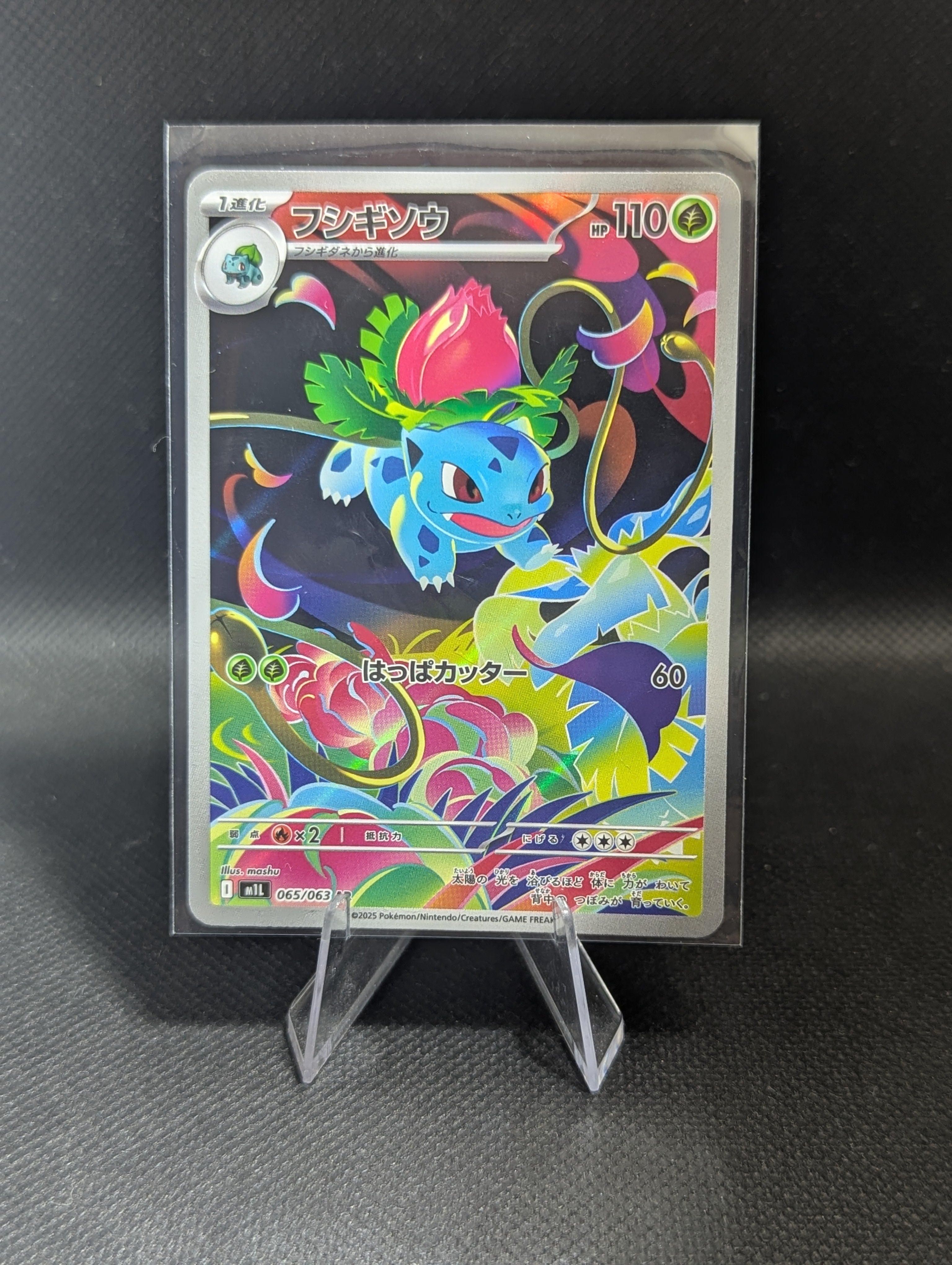 Ivysaur 065 - Japanese