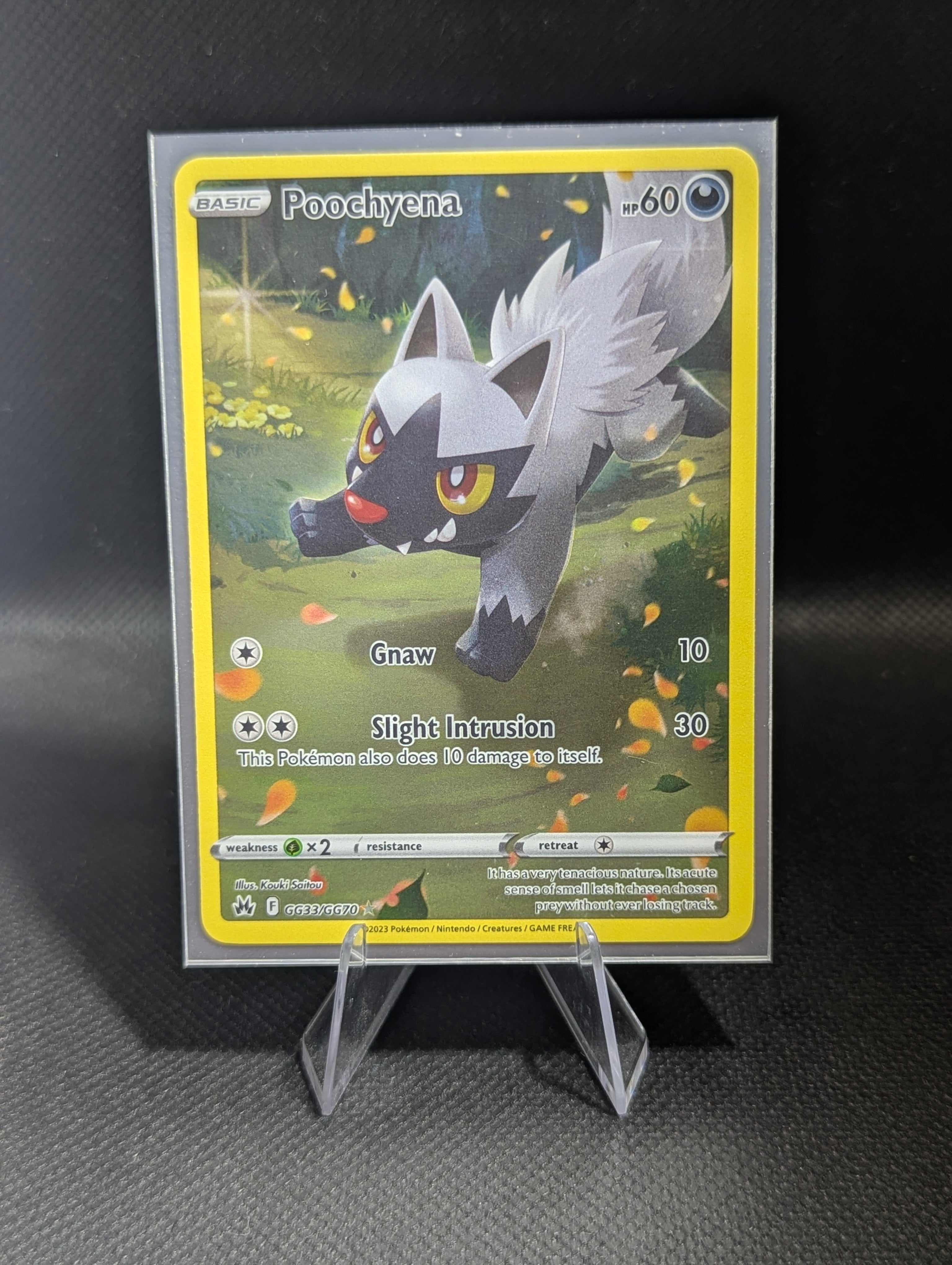 Poochyena GG33 - English