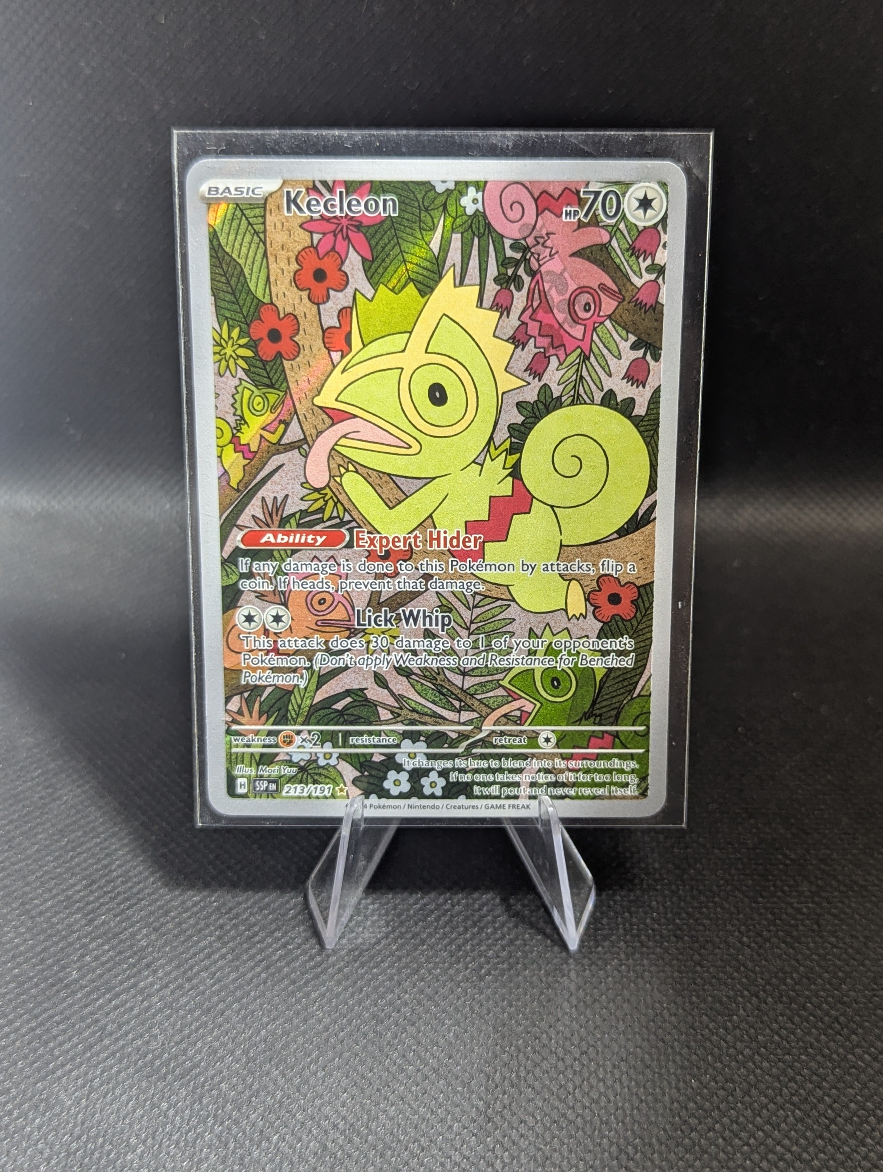 Kecleon 213 - English