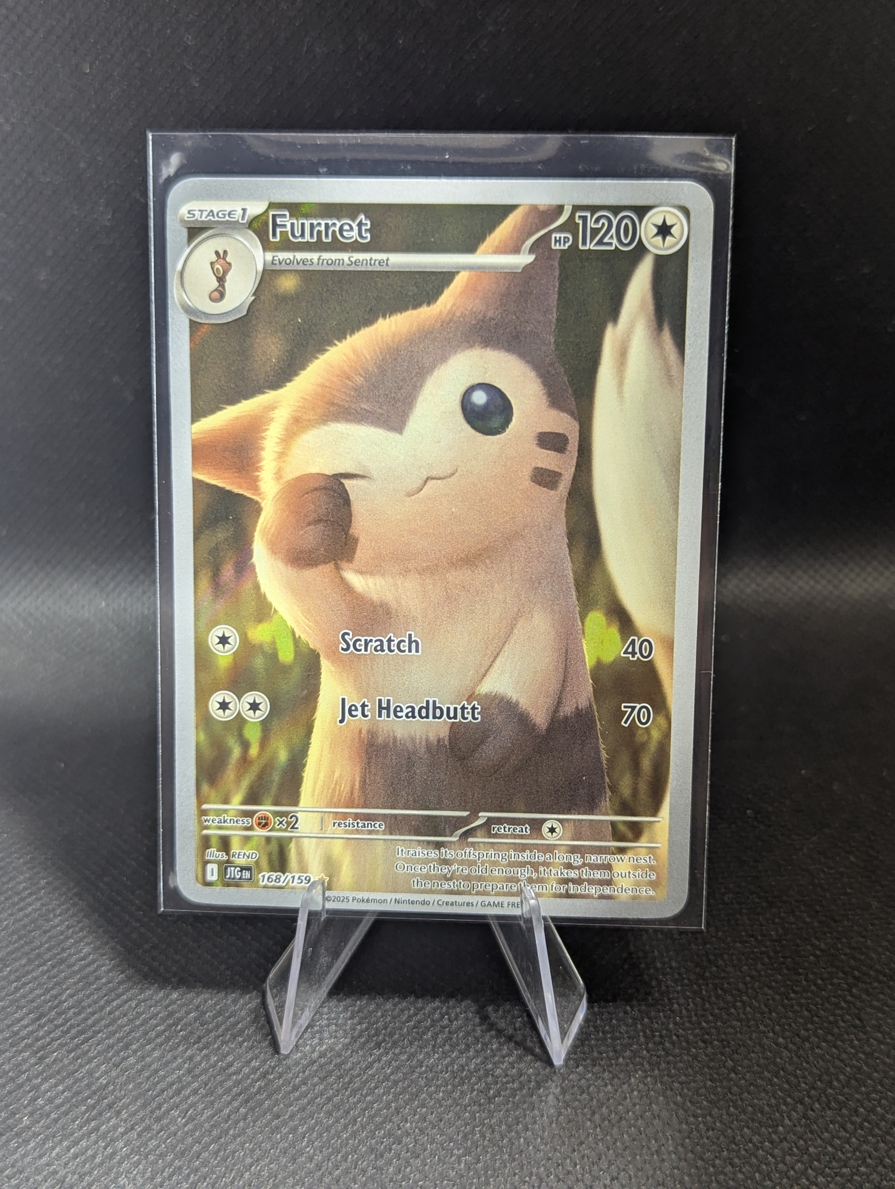 Furret 168 - English