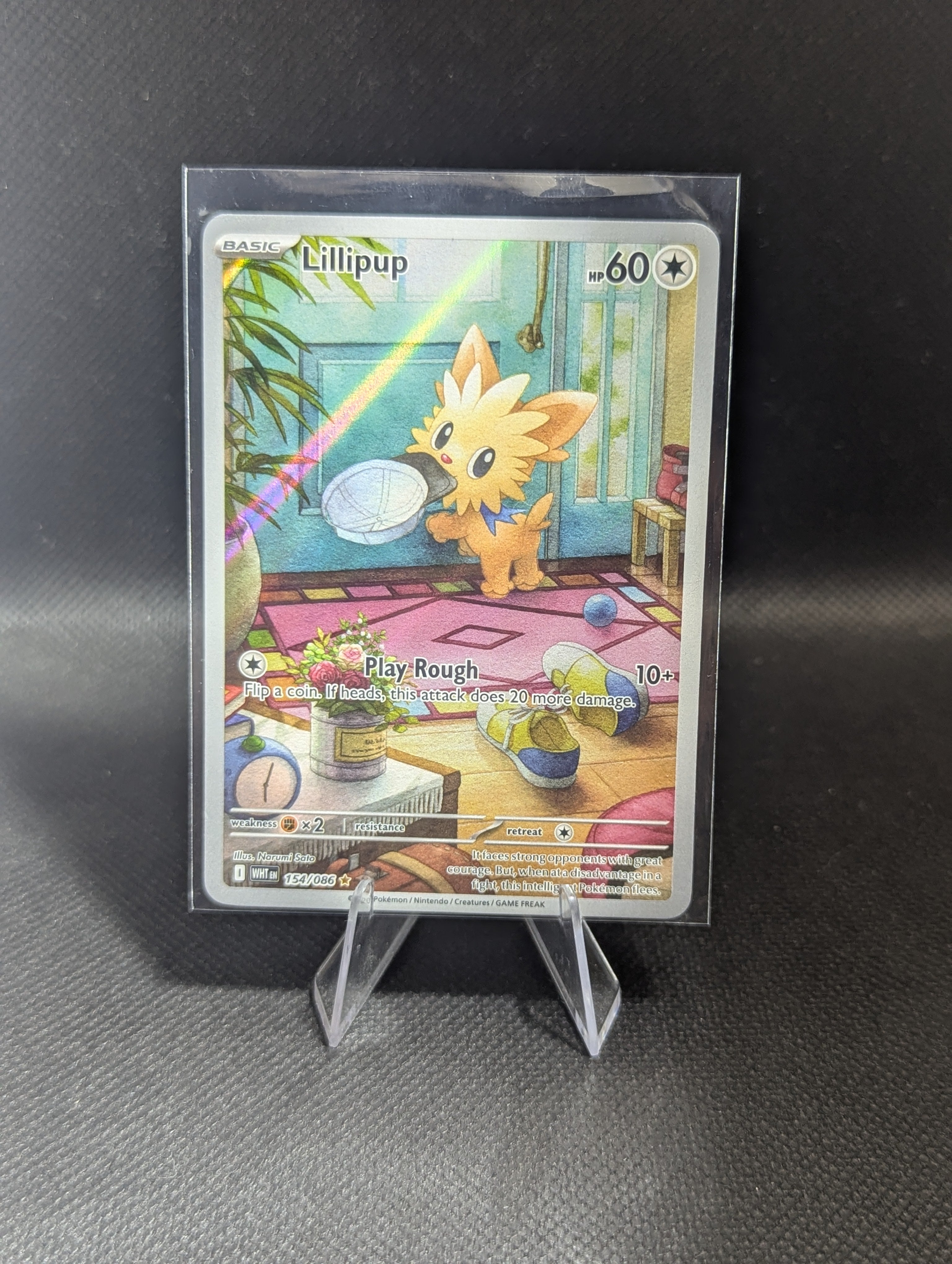 Lillipup 154 - English