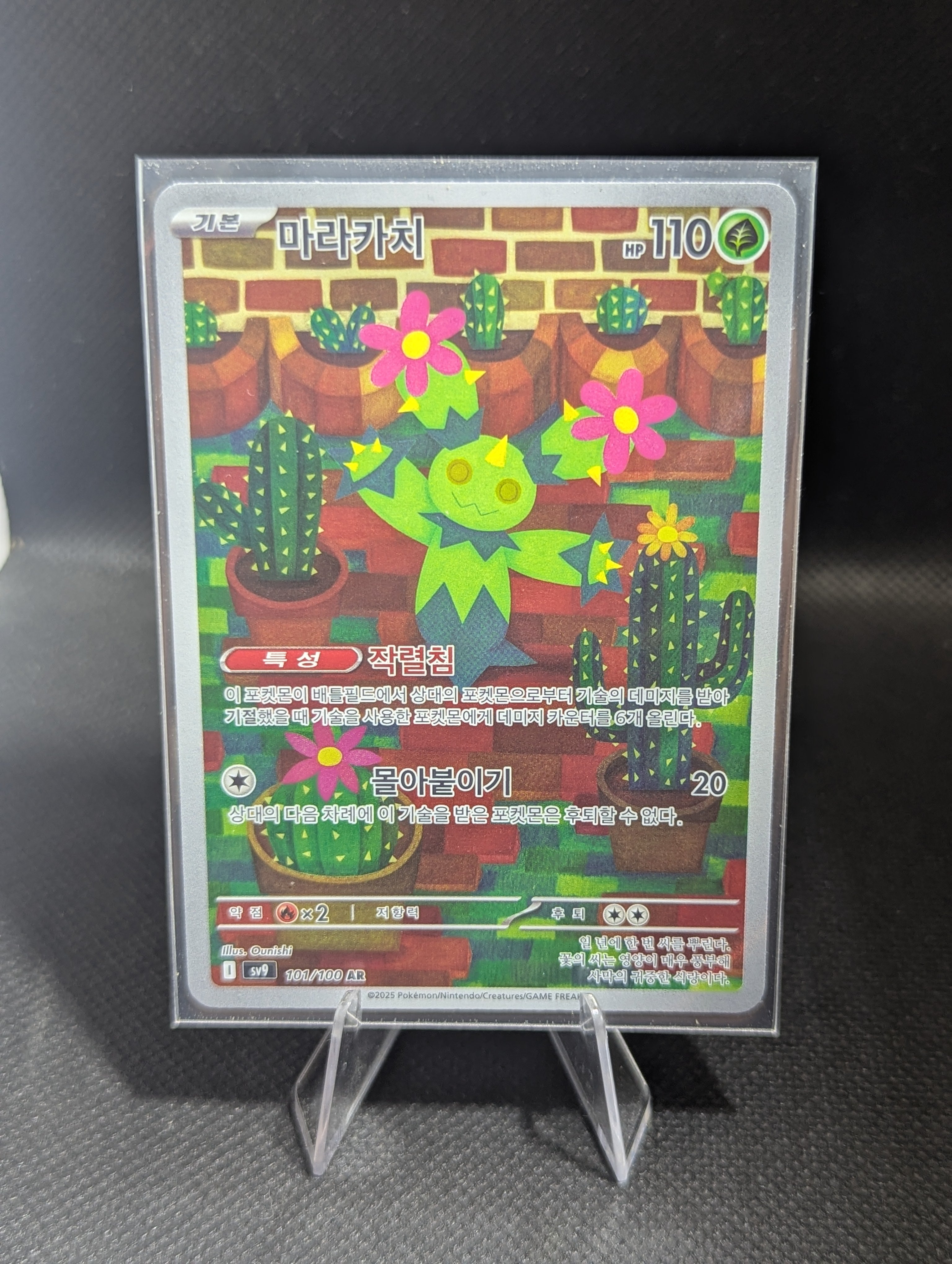 Maractus 101 - Korean