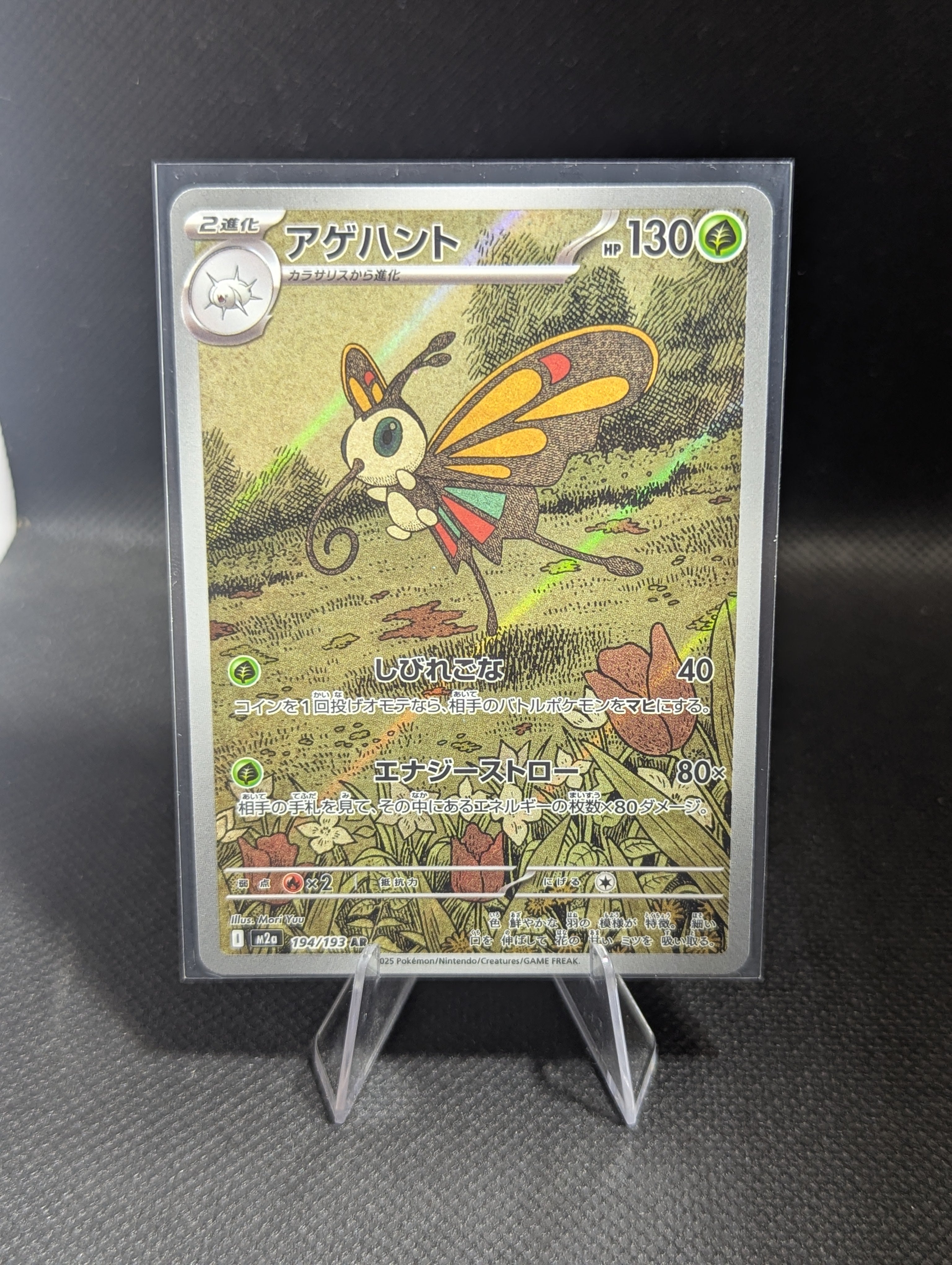 Beautifly 194 - Japanese