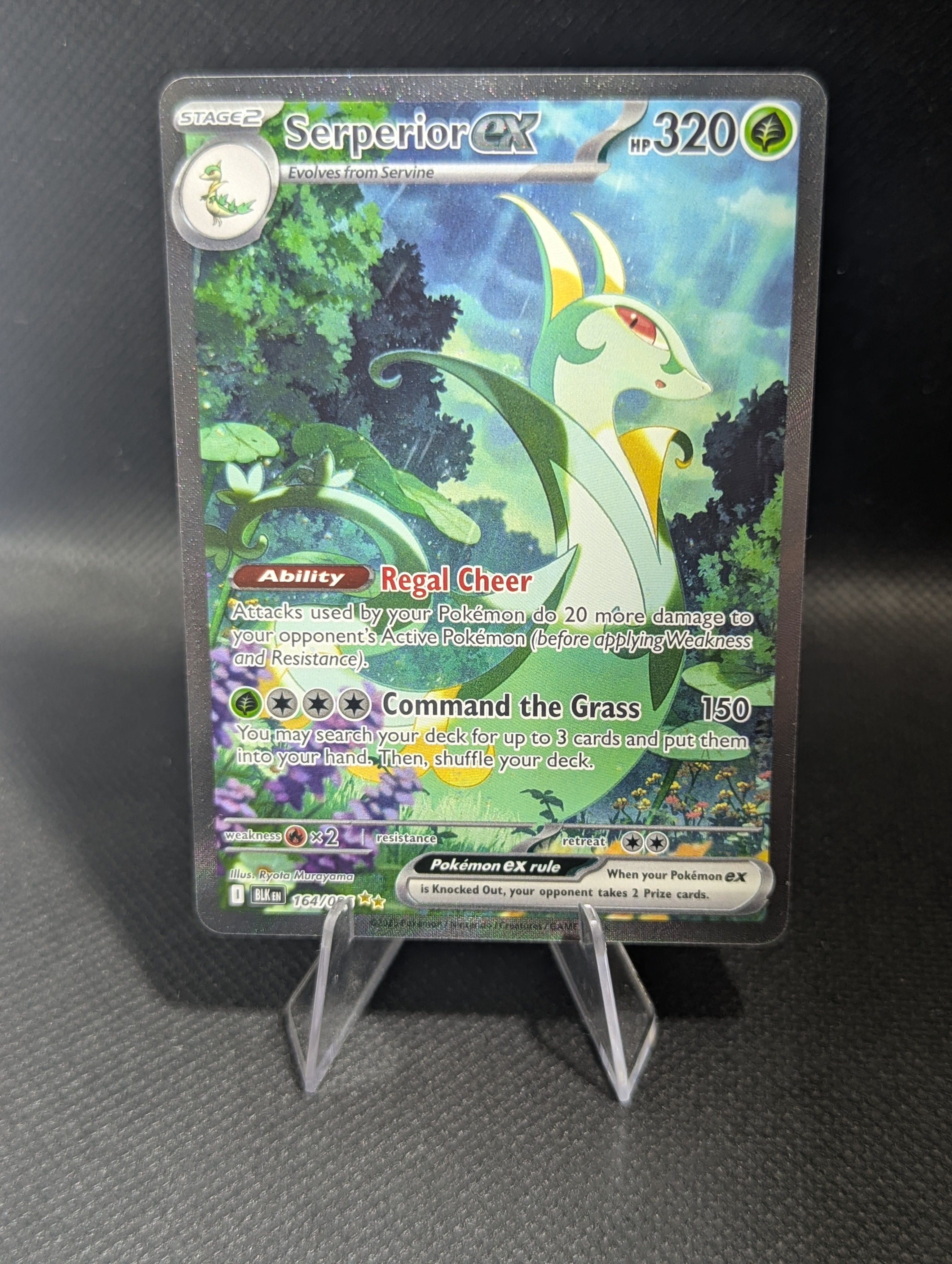 Serperior 164 - English