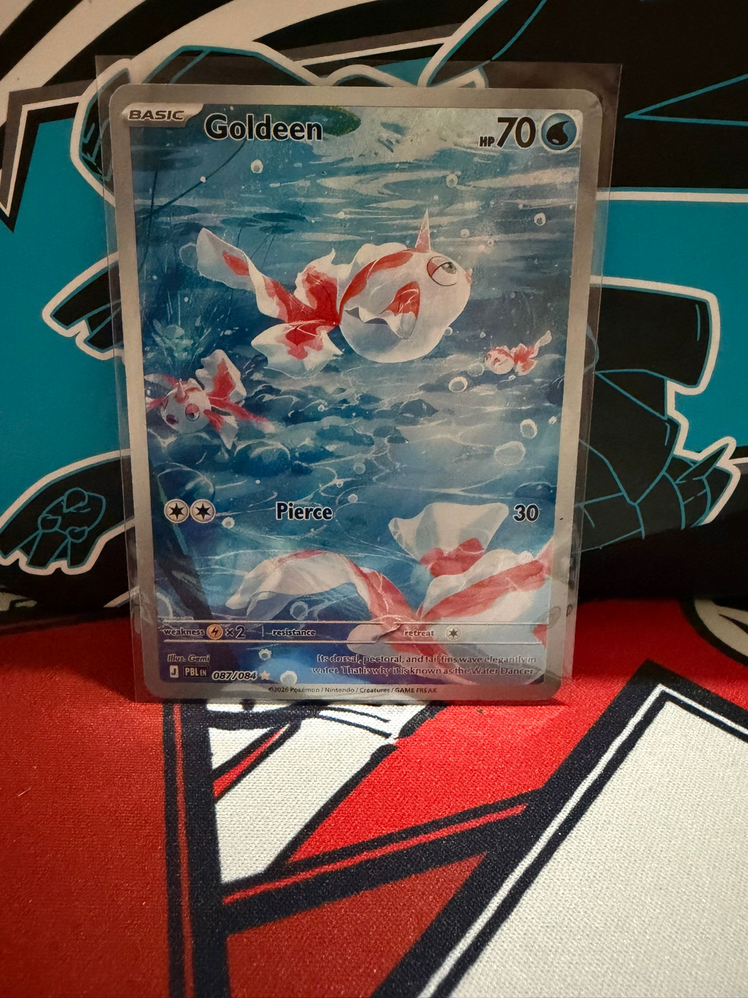 Goldeen 087 - English