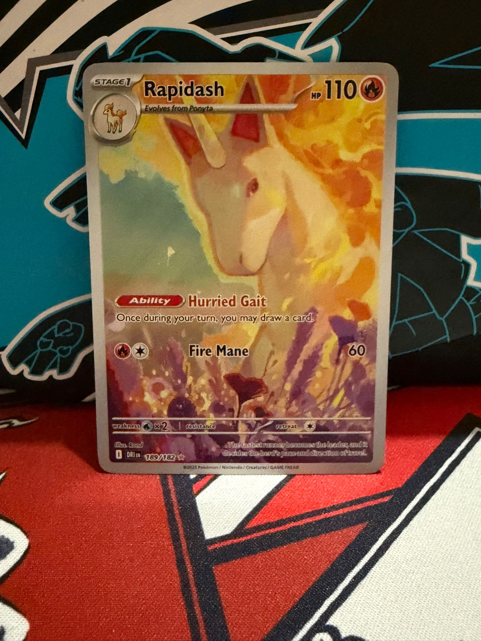 Rapidash 189 - English