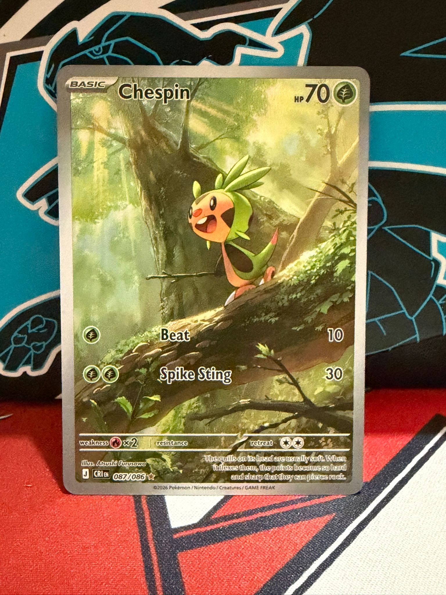 Chespin 087 - English