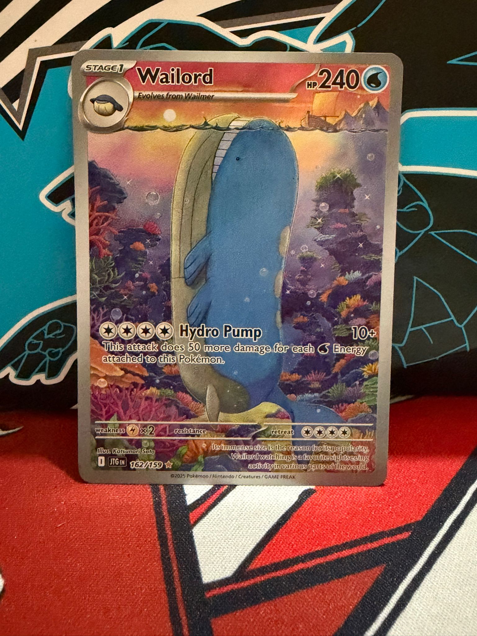 Wailord 162 - English