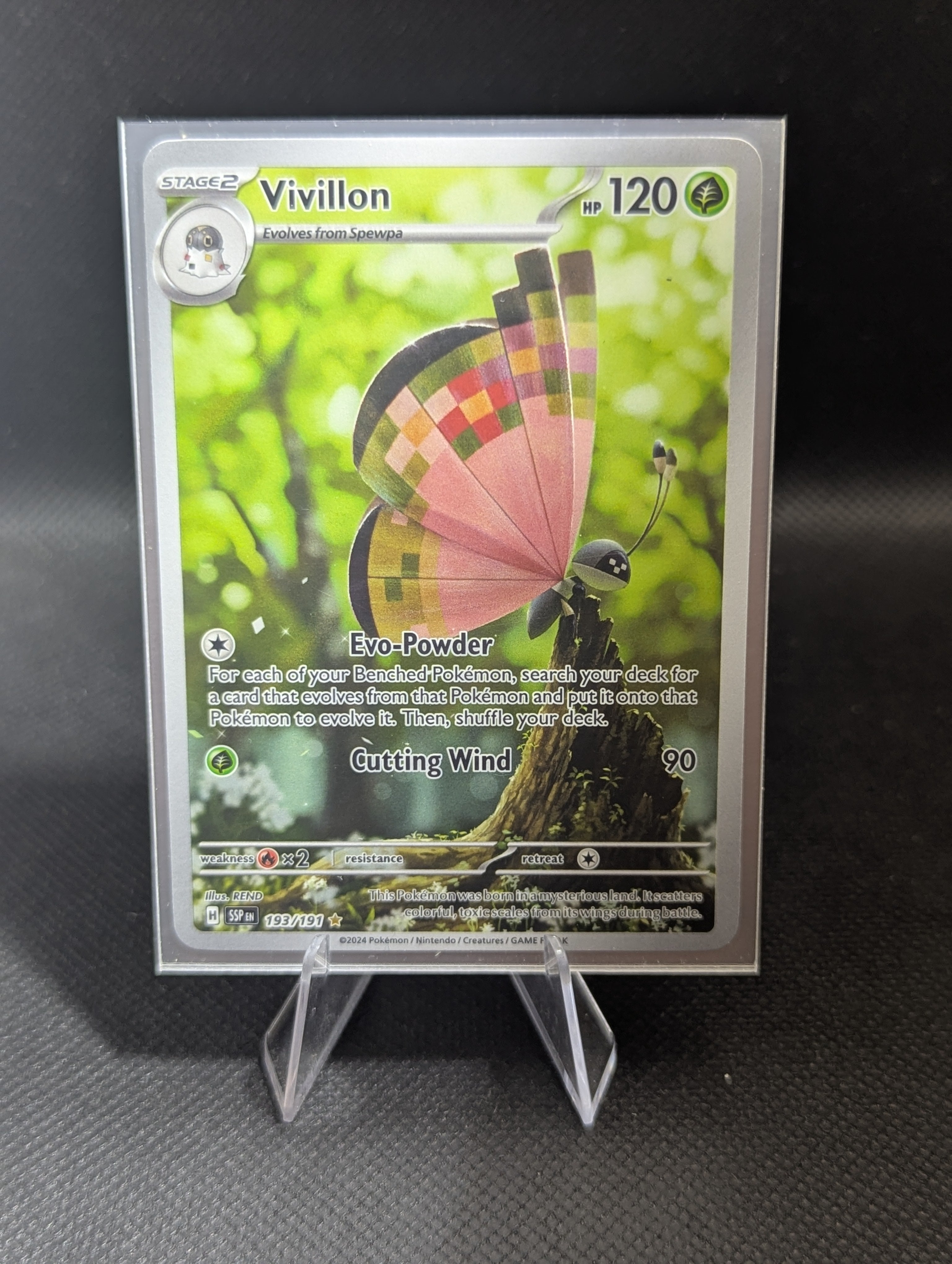 Vivillon #193 - English
